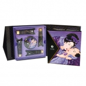 Подарочный набор Geishas secret из 5 предметов - Shunga - купить с доставкой в Саранске