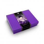 Подарочный набор Naughter Kit - Shunga - купить с доставкой в Саранске