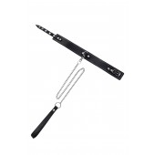 Кожаный двухслойный ошейник с белой строчкой и поводком - Pecado - купить с доставкой в Саранске