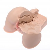 Мастурбатор-полуторс Naked Factory Kate - Naked Factory - в Саранске купить с доставкой