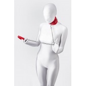 Красный ошейник с подкладкой из меха - ToyFa - купить с доставкой в Саранске