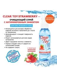 Очищающий спрей для игрушек CLEAR TOY Strawberry - 100 мл. - Биоритм - купить с доставкой в Саранске