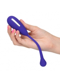 Фиолетовый шарик с электростимуляцией и вибрацией Intimate E-Stimulator Remote Kegel Exerciser - California Exotic Novelties - купить с доставкой в Саранске