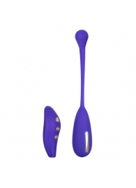 Фиолетовый шарик с электростимуляцией и вибрацией Intimate E-Stimulator Remote Kegel Exerciser - California Exotic Novelties - купить с доставкой в Саранске