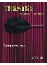 Чёрное страусовое пёрышко - ToyFa - купить с доставкой в Саранске