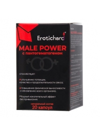 Капсулы для мужчин Erotichard male power с пантогематогеном - 20 капсул (0,370 гр.) - Erotic Hard - купить с доставкой в Саранске