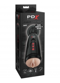 Мастурбатор-вагина с вибрацией Dirty Talk Starter Stroker - Pipedream - в Саранске купить с доставкой