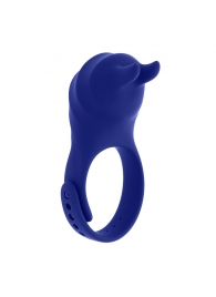 Синее эрекционное виброкольцо с клиторальной подушечкой и пультом ДУ Adjustable Fun Ring - Zero Tolerance - в Саранске купить с доставкой