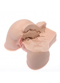 Мастурбатор-полуторс Naked Factory Kate - Naked Factory - в Саранске купить с доставкой