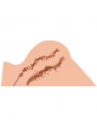 Мастурбатор-полуторс Naked Factory Hannah - Naked Factory - в Саранске купить с доставкой