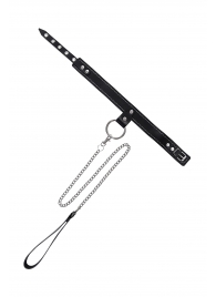 Черный узкий однослойный ошейник с серебристым поводком-цепочкой - Pecado - купить с доставкой в Саранске