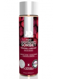 Лубрикант на водной основе с ароматом малины JO Flavored Raspberry Sorbet - 120 мл. - System JO - купить с доставкой в Саранске