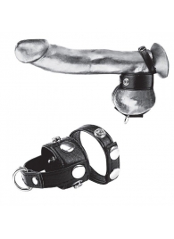 Утяжка для мошонки и пениса Cock Ring With 1  Ball Stretcher And Optional Weight Ring - BlueLine - купить с доставкой в Саранске