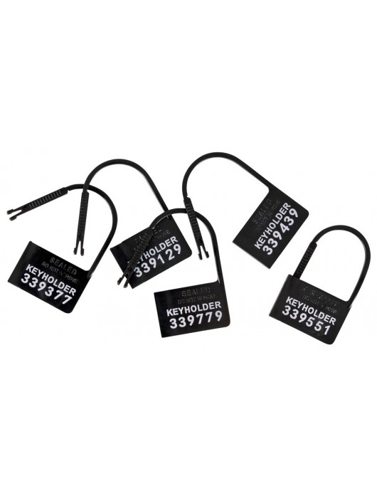 Набор для мужского пояса верности Cock Cage Set - Orion - купить с доставкой в Саранске