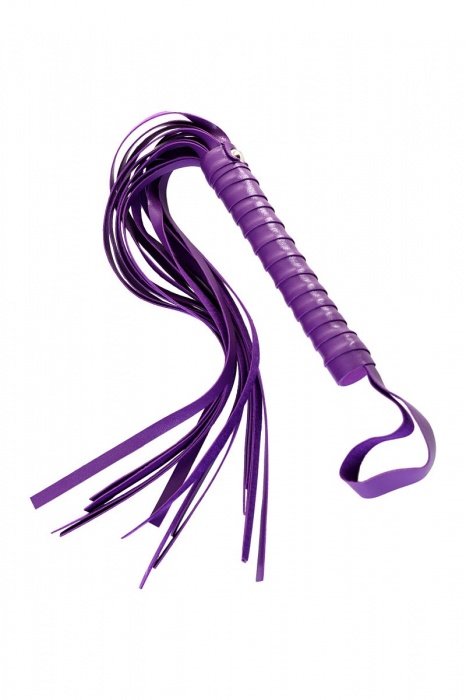 Фиолетовый набор БДСМ «Накажи меня нежно» с карточками - Штучки-дрючки - купить с доставкой в Саранске