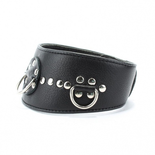Чёрный кожаный ошейник с полукольцами и клёпками - БДСМ Арсенал - купить с доставкой в Саранске