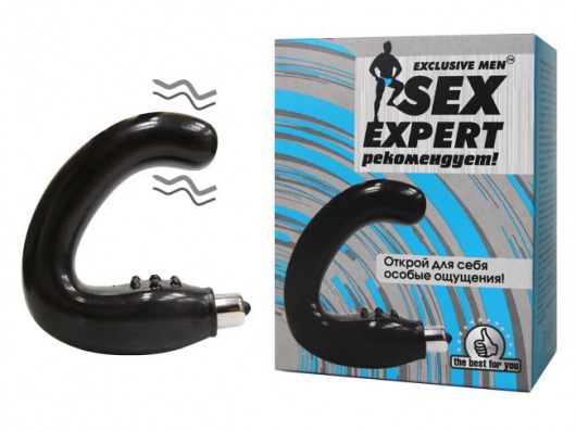 Чёрный массажёр простаты серии Sex Expert - Sex Expert - в Саранске купить с доставкой