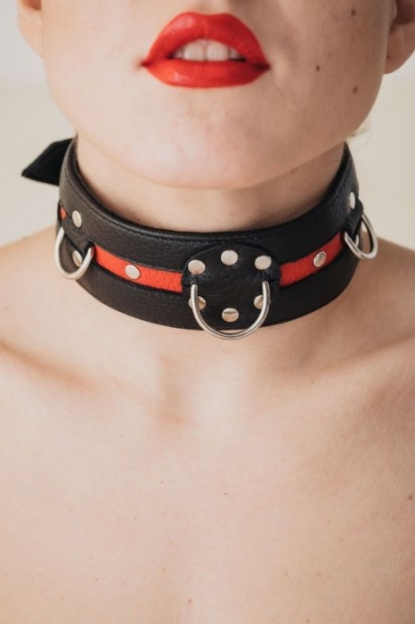 Черно-красный ошейник на пряжке - БДСМ Арсенал - купить с доставкой в Саранске