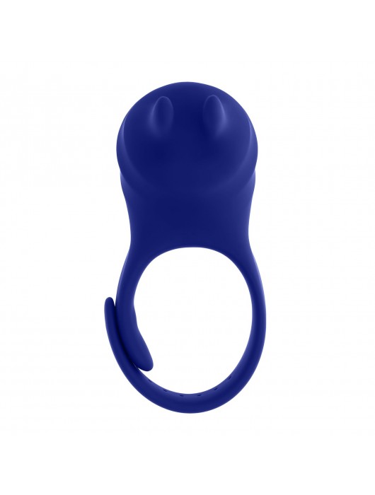 Синее эрекционное виброкольцо с клиторальной подушечкой и пультом ДУ Adjustable Fun Ring - Zero Tolerance - в Саранске купить с доставкой