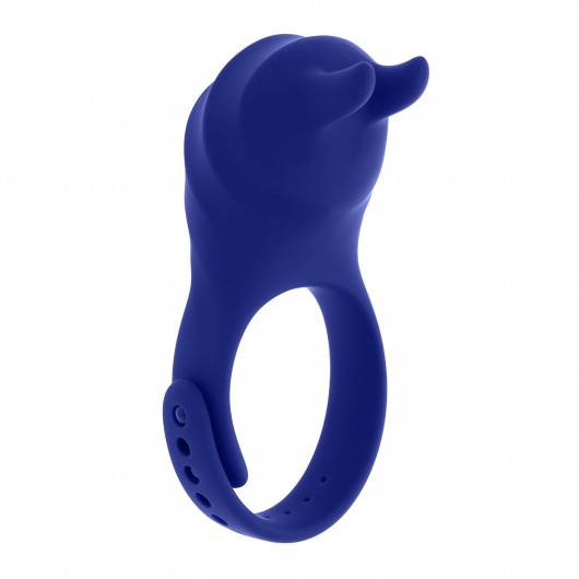 Синее эрекционное виброкольцо с клиторальной подушечкой и пультом ДУ Adjustable Fun Ring - Zero Tolerance - в Саранске купить с доставкой